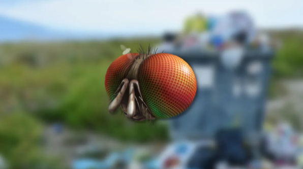 Roblox - Freaky Fly Face (DLC - CDKey)