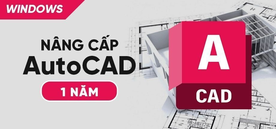 Nâng cấp AutoCAD (1 năm)