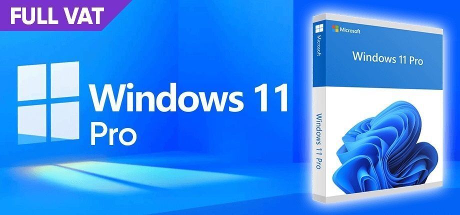 Windows 11 Professional DSP OEI DVD