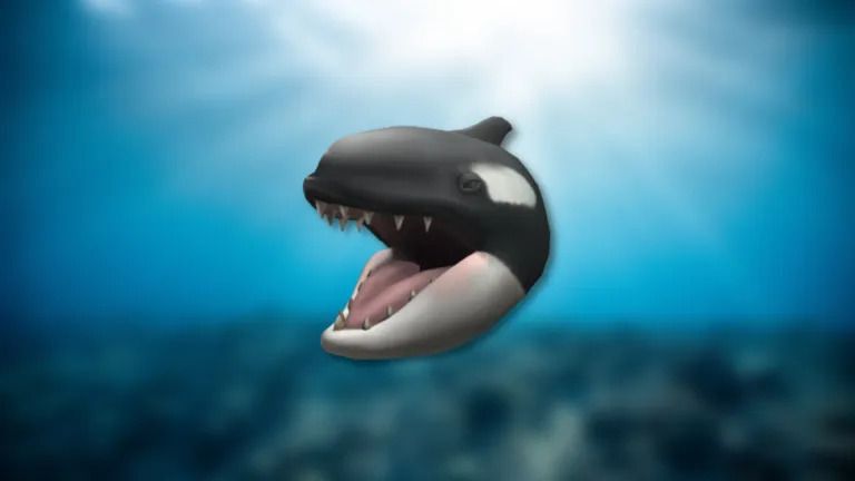 Roblox - Hungry Orca (DLC - CDKey)