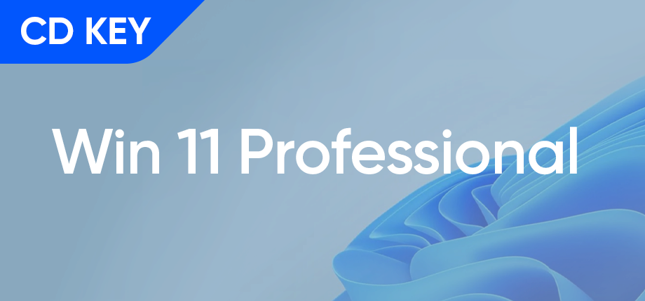 Windows 11 Professional - CD Key (active)
